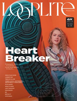 Looplite Vol - 376