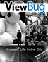 ViewBug: Life in the City