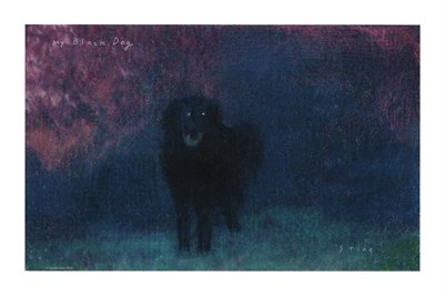 My Black Dog