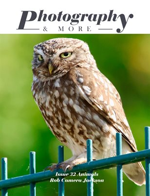 Issue 32 Animals