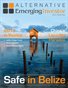 Alternative Emerging Investor:  Issue 5