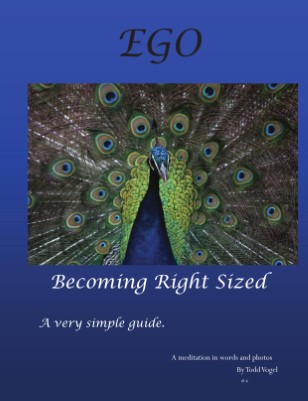 EGO - becoming right sized