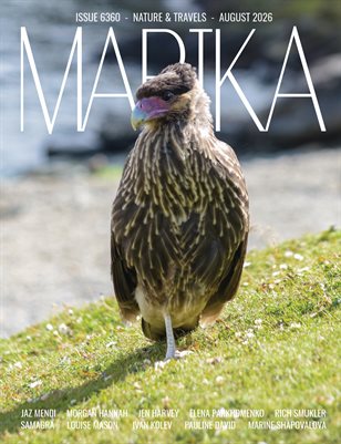 Publication preview