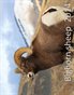 Bighorn sheep  2014