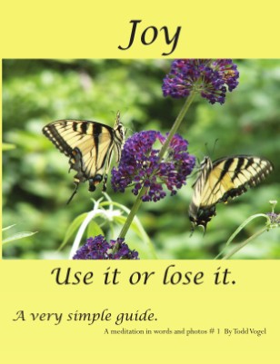 Joy - use it or lose it