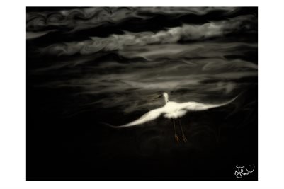 Swoon under the Moon