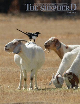 The Shepherd May 2013