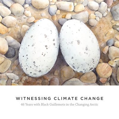 Publication preview
