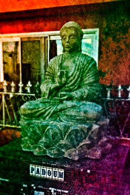 Buddha of Venice