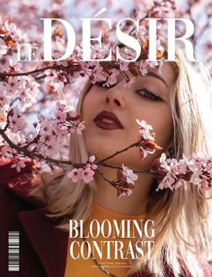 6_MAY_LE_DESIR___PORTRAIT_ISSUE1