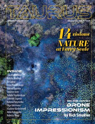 Publication preview