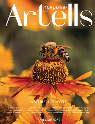 Publication preview
