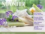Saponifier Magazine: Sept/Oct 2015