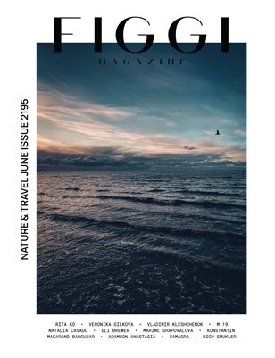 Publication preview