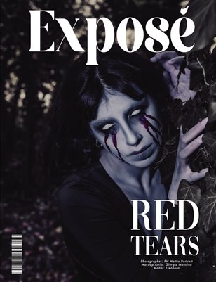 6__NOVEMBER_9C_ISSUE_FANTASY634