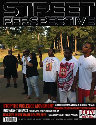 Street Perspective Sept 2017