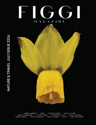 Publication preview