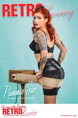 Pammie Sue Cover Poster