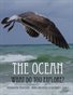 The Ocean - What Do you Explore?