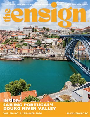 Publication preview