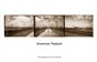American Triptych