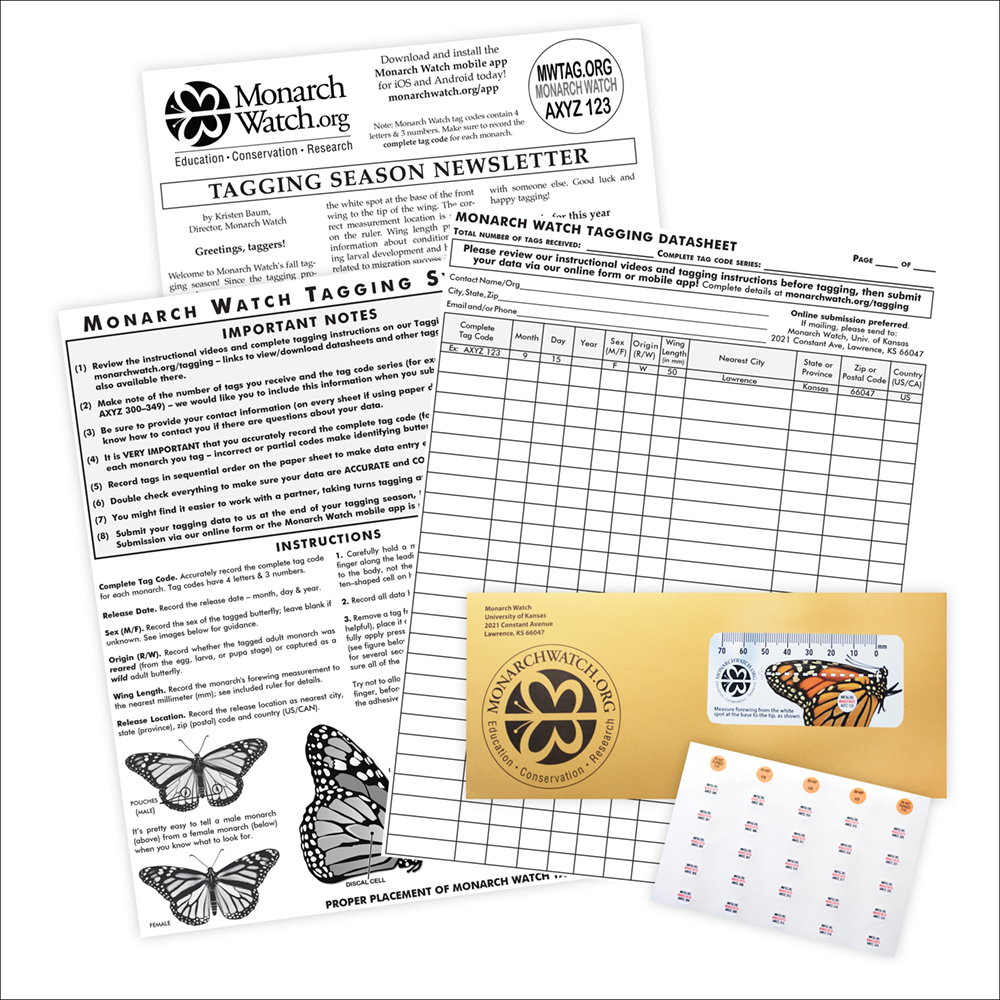 Monarch Watch Tagging Kit how to tag monarch butterflies, monarch tagging, monarch butterfly tagging kit, monarch migration tagging, monarch migration tracking 