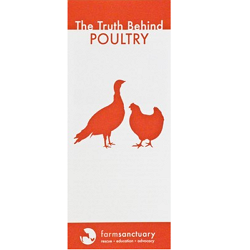 The Truth Behind Poultry Brochure