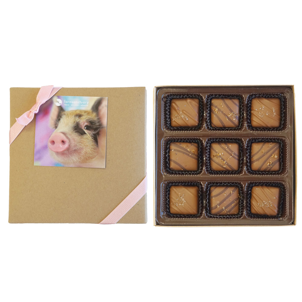 Vegan Salted Chocolate Caramels 200479 Farm Sanctuary