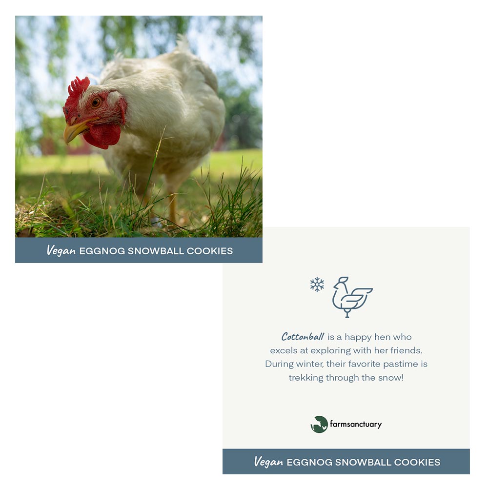 Vegan Eggnog Snowball Cookies 200706 Farm Sanctuary