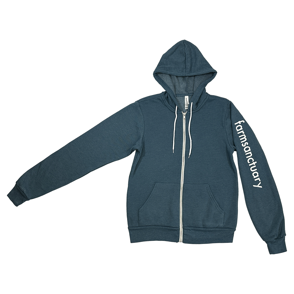 Teal Logo Hoodie 
