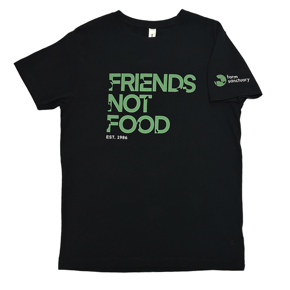 Friends Not Food Icon Tee 