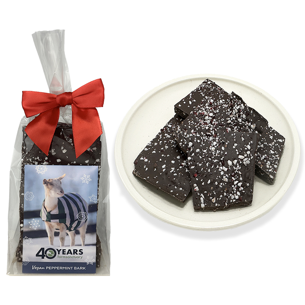 Vegan Peppermint Bark 