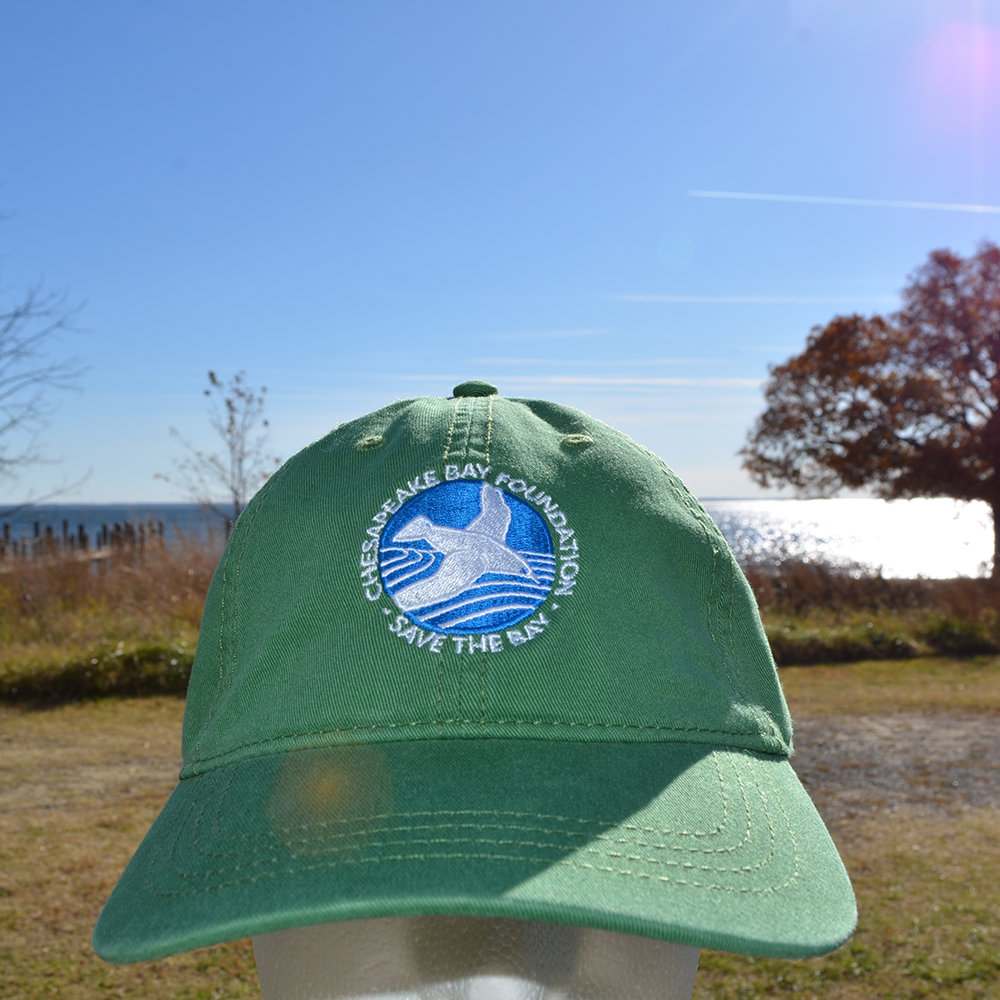 Vintage Ball Cap 