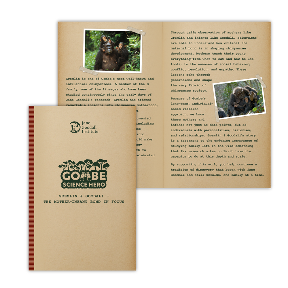 Become a Gombe Science Hero for Gremlin & Goodali - The Mother