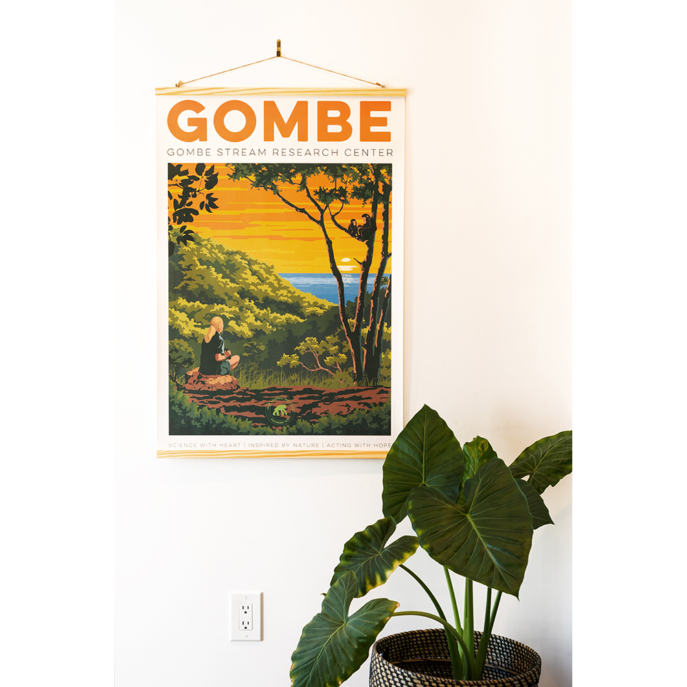 (未使用･未開封品)Jane Goodall: Return to Gombe [DVD] Amazon.com: Jane Goodall's Return to Gombe : Jane Goodall: Movies & TV