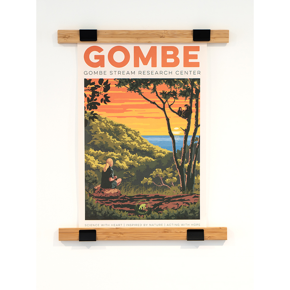 Vintage Style Jane Goodall Gombe Stream Research Center Poster