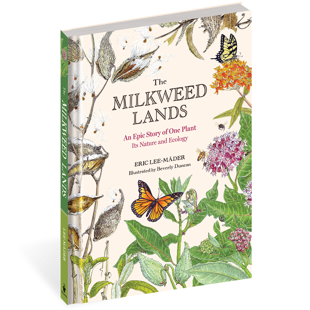 The Milkweed Lands 