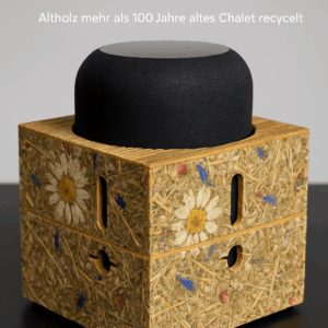 Blumen Wiese 360° Surround Sound 100W Portable Bluetooth Speaker