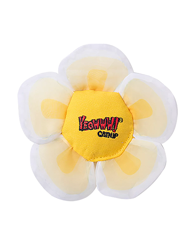 Picture of Yeowww Catnip Daisy Top White - Cat Toy