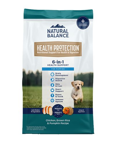 Picture of Natural Balance Health Protection 6 in 1 Support for Puppies Chicken, Brown Rice and Pumpkin - 12 lb Dry Puppy Food
