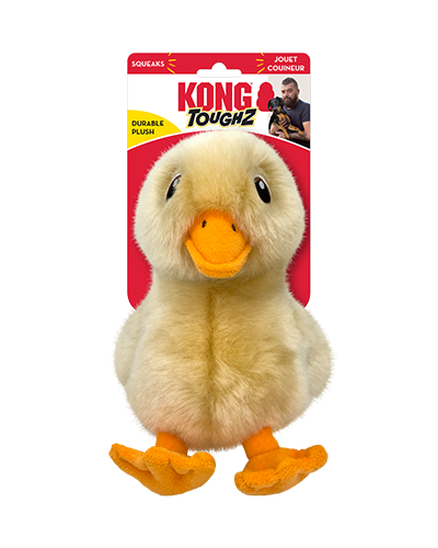Picture of Kong Toughz Duck - Dog Toy
