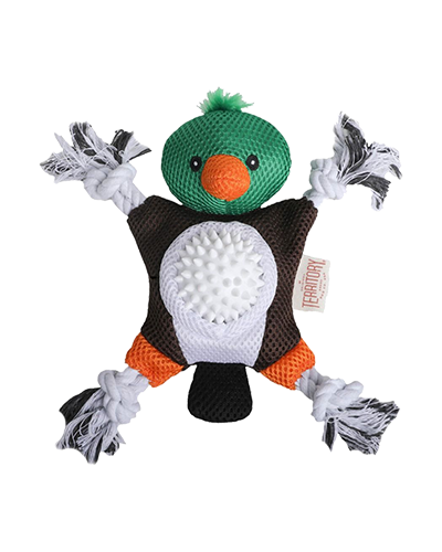 Picture of Original Territory 2 in 1 Mallard Duck - 10 in Dog Toy