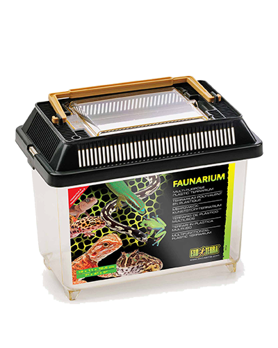 Picture of Exo Terra Faunarium - Mini