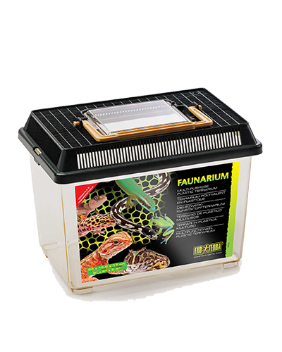 Picture of Exo Terra Faunarium - Small