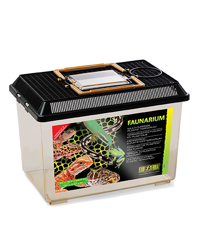 Picture of Exo Terra Faunarium - Medium