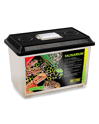 Picture of Exo Terra Faunarium - Large