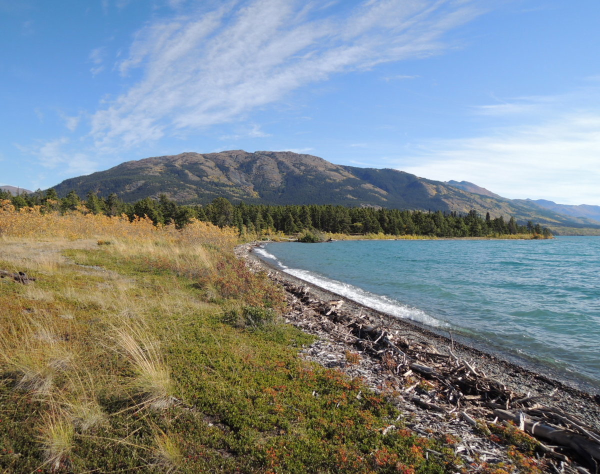 Autumn Monarch from Crystal Beach
