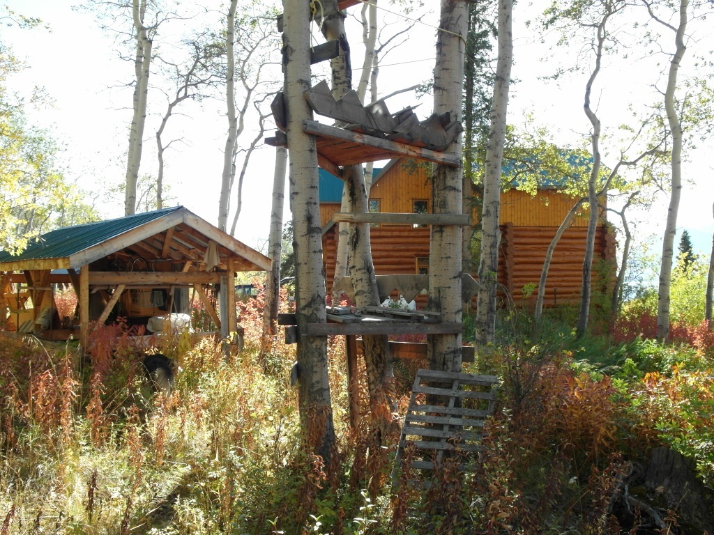 MH boat, tree, houses autumn