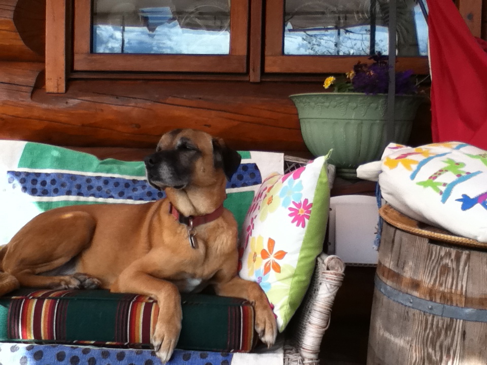 Caleb on settee outside