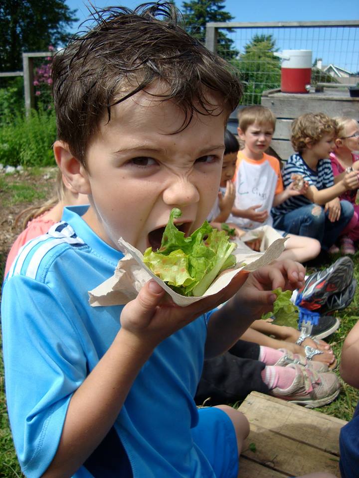 edible-garden-project-n-vancouver.jpg edible-garden-project-n-vancouver.jpg